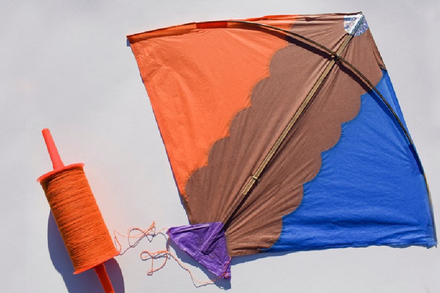 Madhya Pradesh  Madhya Pradesh: Seven-year-old boy dies after kite string  slashes his throat - Telegraph India