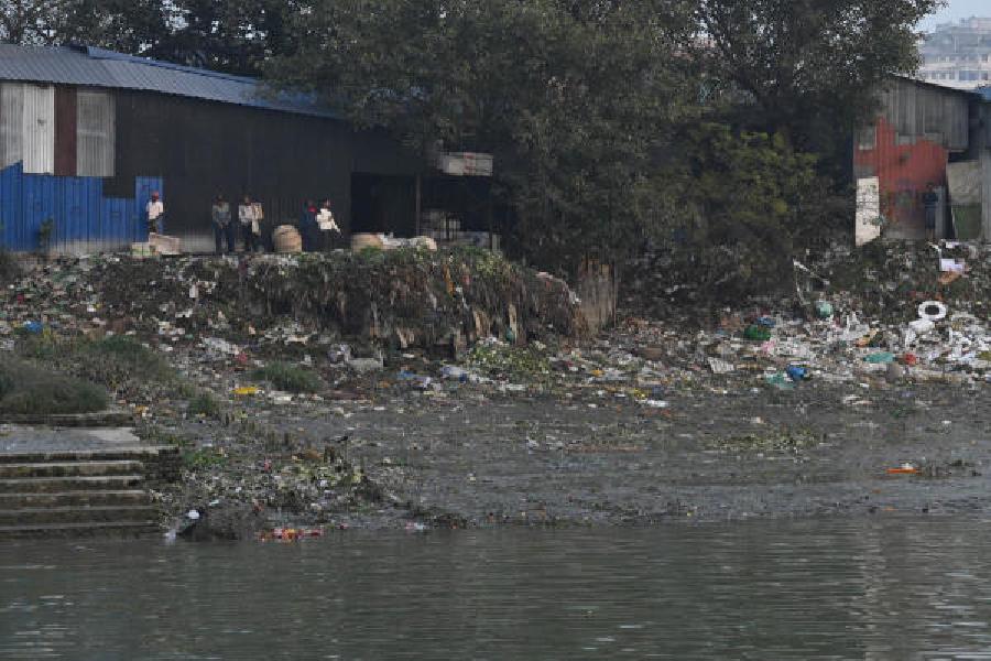 Waste dumped along the Hooghly near Burrabazar