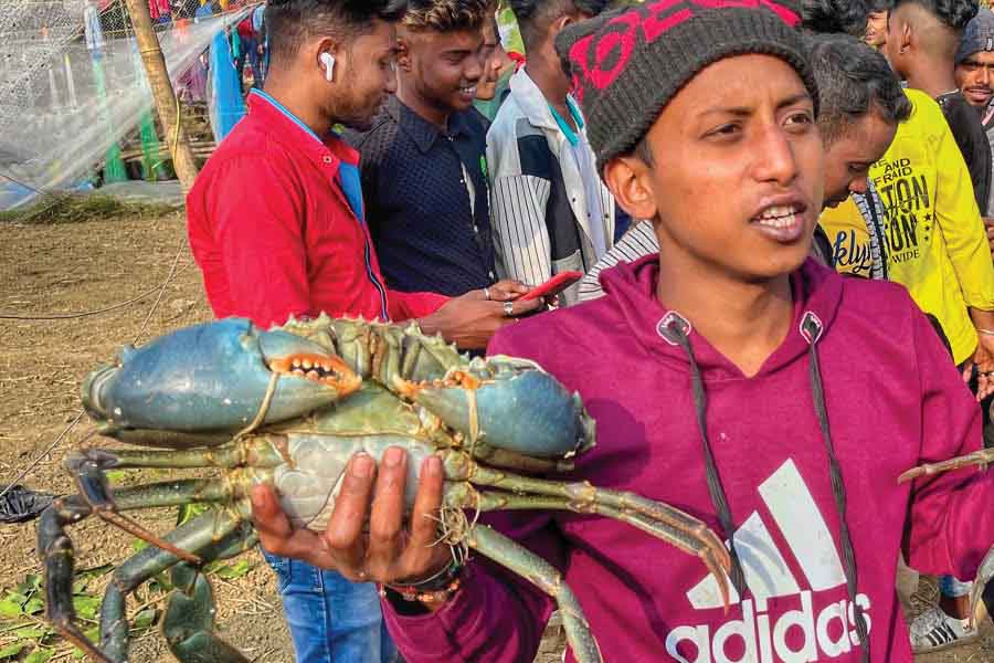 In pictures: What makes a visit to Bhai Khan Pirer Mela in Howrah’s Singti an absolute must for every crab lover