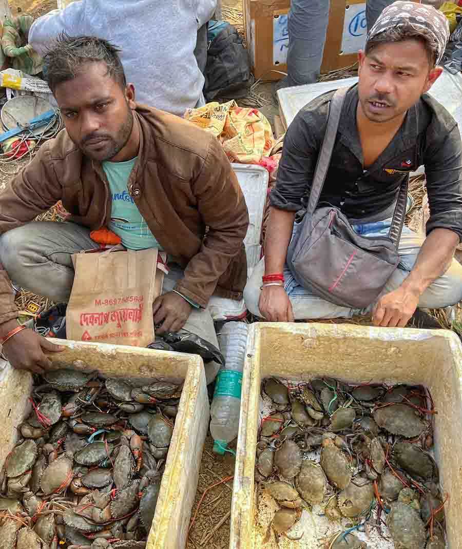 At least 200 wholesale crab-sellers come to the fair with their catch of different sizes of crabs from the Sunderbans, Canning, Hasnabad and Kakdwip, while an estimated 50,000 people, mostly from nearby villages and other districts, attend this one-day festival