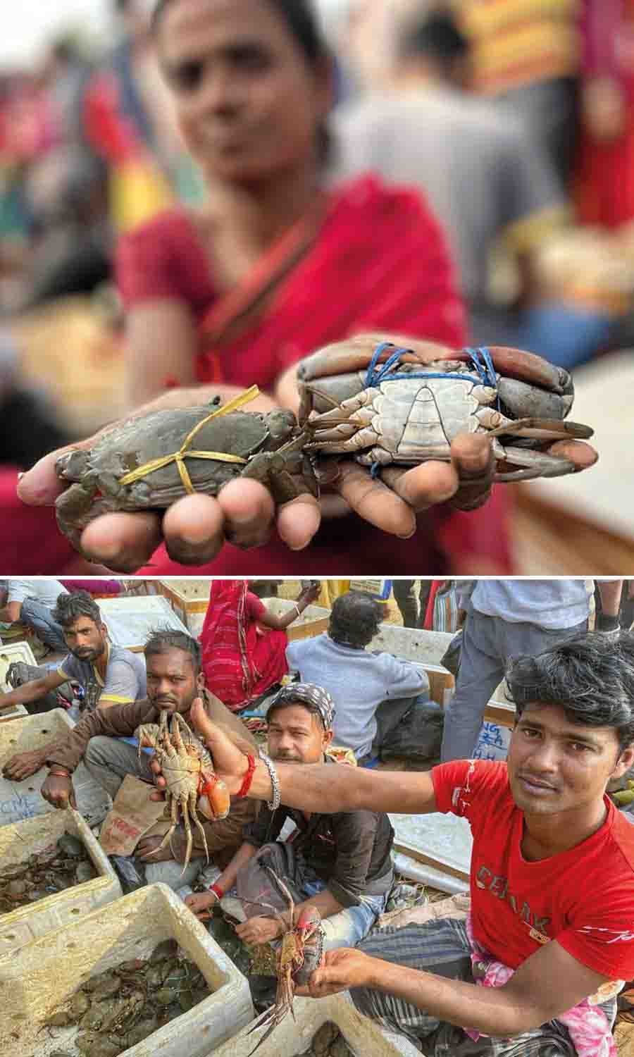 From tiny leopard crabs to giant jumbo crabs, the crab-sellers hawk their fare from early morning till sundown. The smaller crabs are sold for Rs 300-400 per kg, the medium-sized for Rs 600-1,000 per kg and the jumbo ones for up to Rs 2,000 per kilo