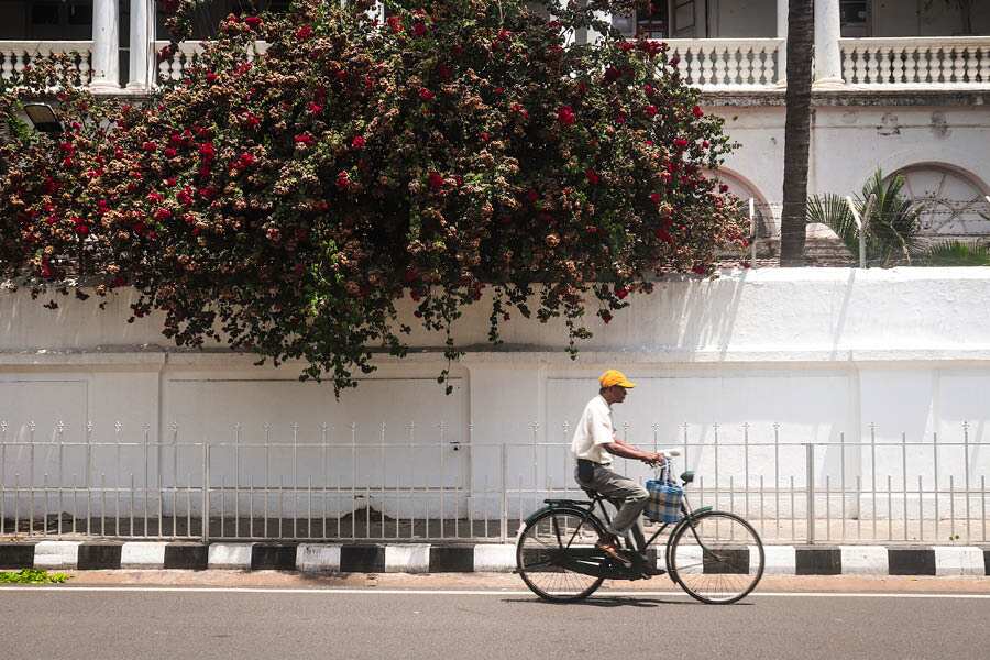 When in Pondicherry, going around the picturesque lanes of White Town is a must