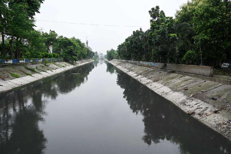 A stagnant stretch of the Eastern Drainage Canal in Chingrighata on Wednesday