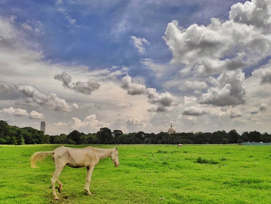 It’s still mid-monsoon in Bengal but white fluffy clouds in Kolkata skies on Thursday gave a feeling of autumn. Kolkata has been experiencing a dry spell for last two-three days