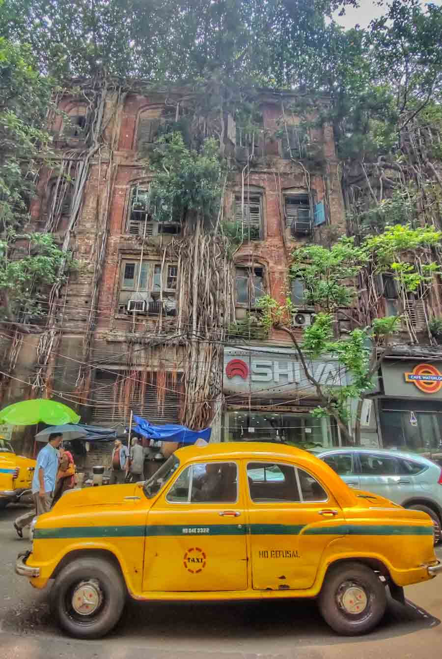 A dilapidated house with overgrown trees at Waterloo Street near Esplanade.There are around 3,000 such derelict houses in Kolkata. 