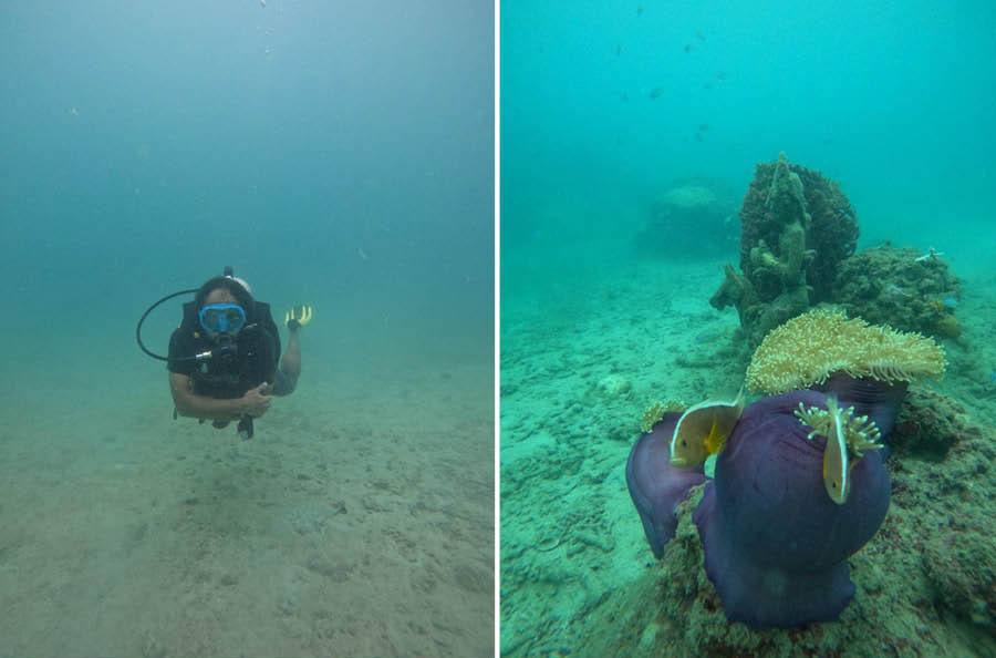 BCC&I’s initiative aims to bring large-scale behavioural change among tourists and tourism businesses to impact environmental protection and climate action. Its initiative calls for promoting circular economy in place of ‘use-and-dispose’ economy, which is very common among tourists. The initiative also included scuba diving to promote ocean economy and conservation. This unique effort underscored India’s potential as a leading MICE destination and highlighted the importance of sustainable practices