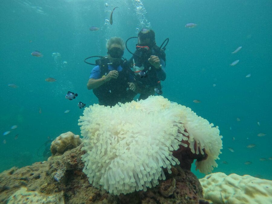 Senior tourism ministry officials and the delegation interacted with stakeholders from the hospitality and tourism business sector. The interactions focused on saving of energy, saving of water, saying ‘no’ to single-use plastic, reduction of waste, empowerment of local businesses and communities, respecting local culture and heritage, consumption of local food, conservation of natural heritage by tourists and businesses