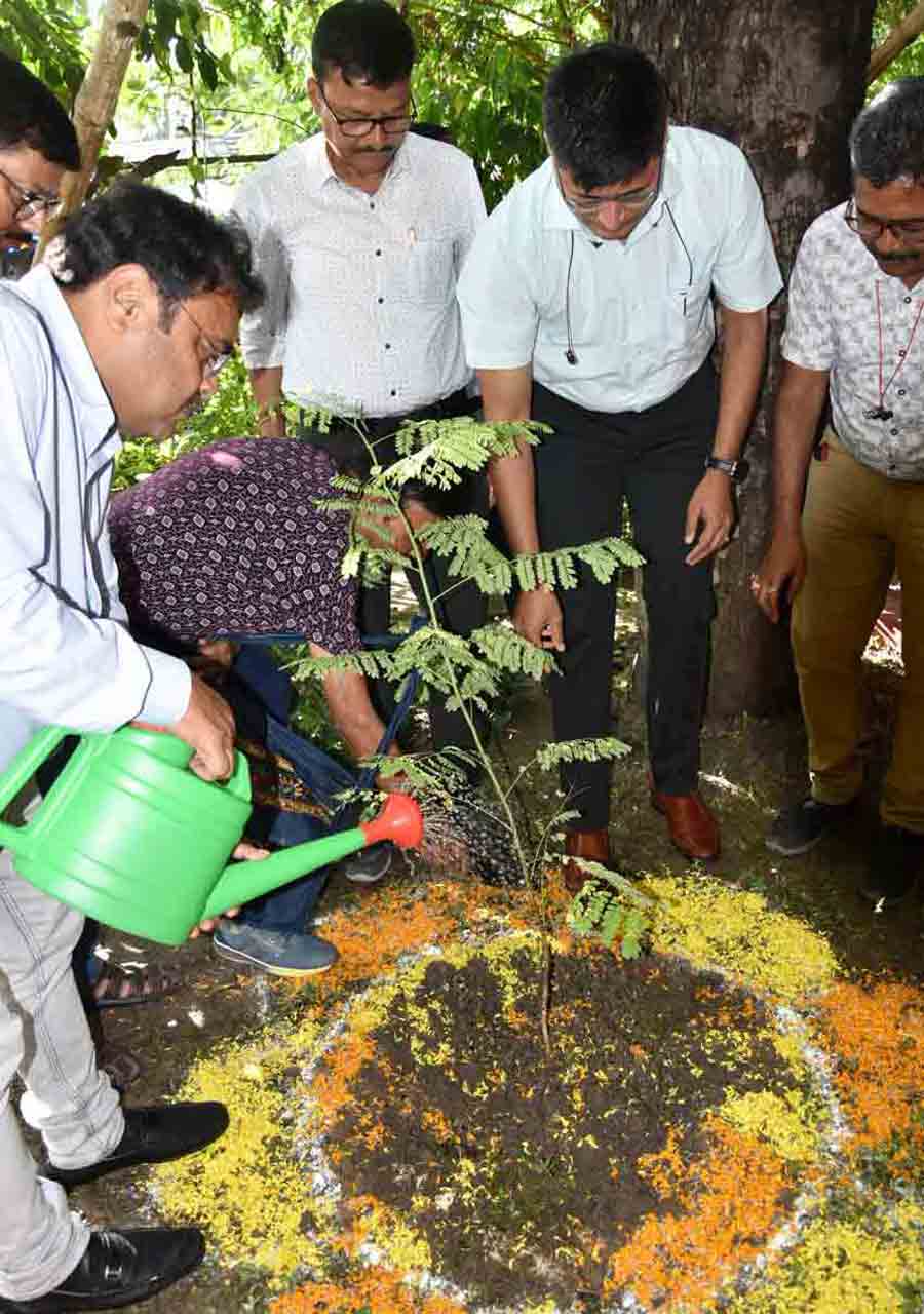 Plantation and free distribution of saplings at Press Club Kolkata as part of the week-long Vanomahotsav (afforestation programme)