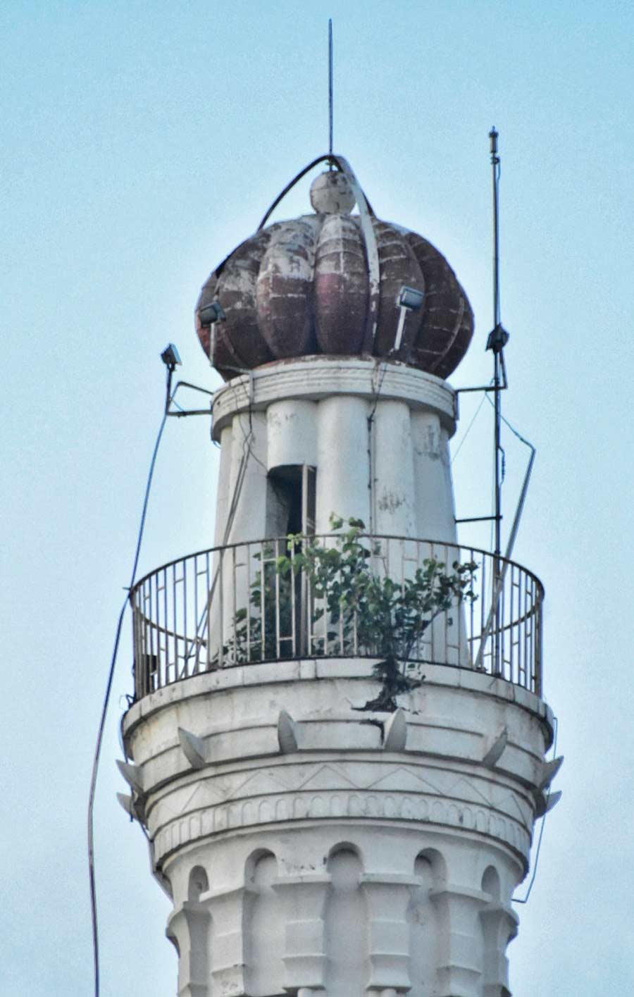 Wild undergrowth atop Shahid Minar on Thursday reflects lack of maintenance