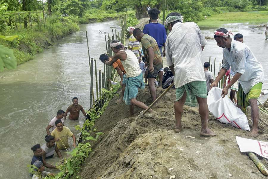 Assam | Assam flood situation improves, 1.30 lakh people still reeling ...