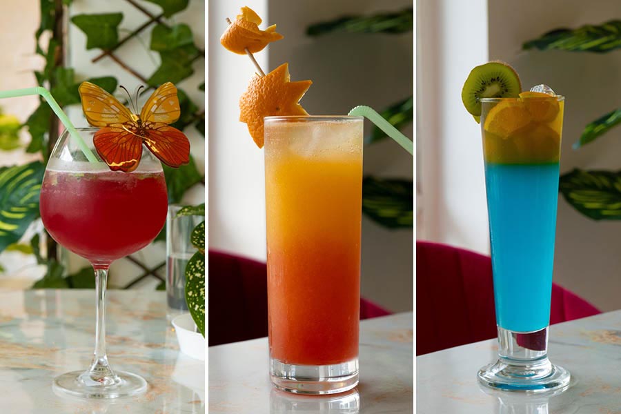 The Valencia Special Red Dragon, Mango Bite, and The Deep Blue Sea