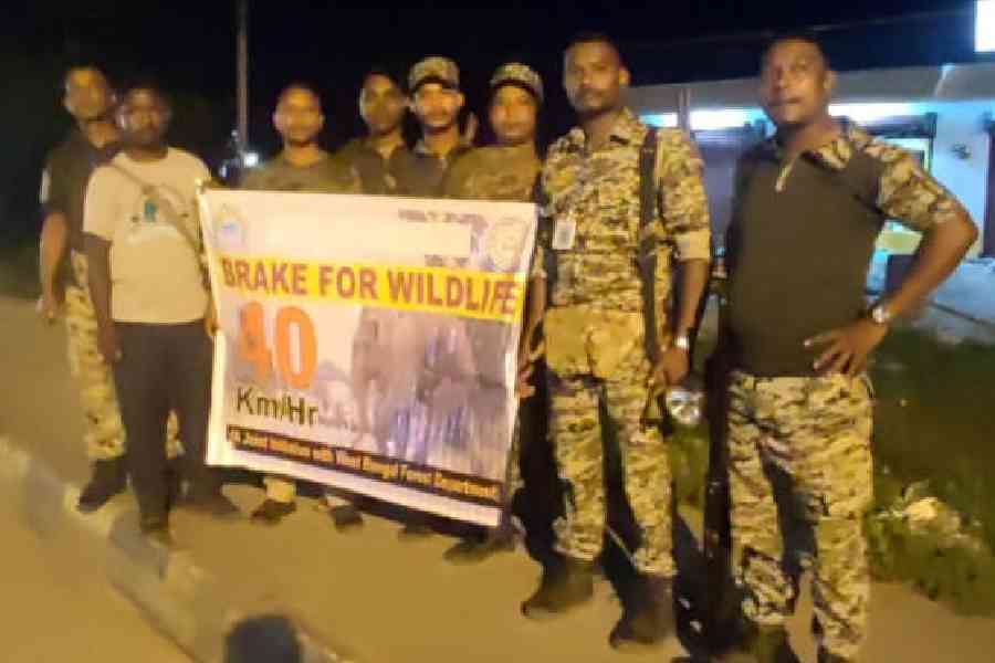 Foresters of the Bagdogra range and representatives of an NGO, Jumbo Troops, during the awareness campaign among drivers on Asian Highway 2