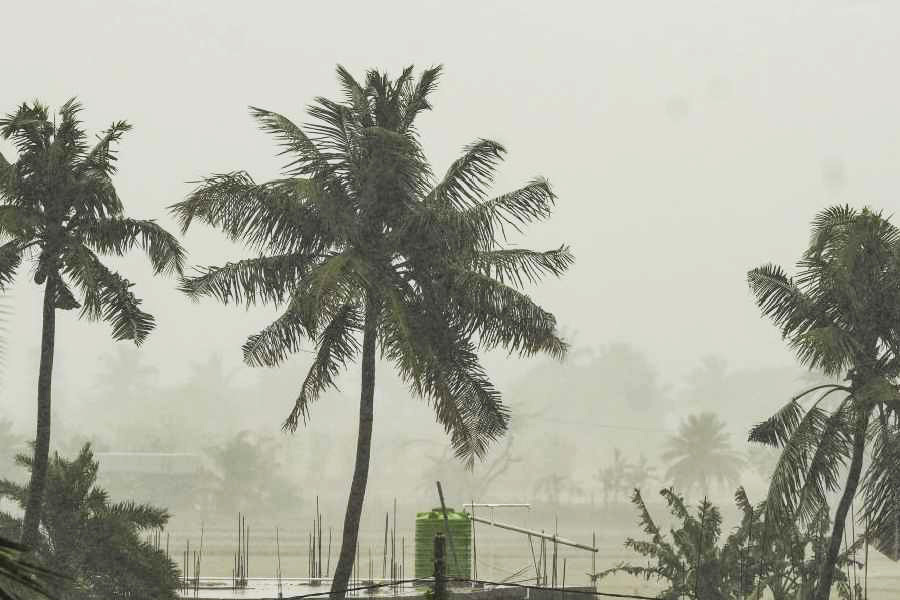 “Sitting on the 30th floor of my complex, I could barely feel a thing,” writes one of the teenagers who is a signatory to the complaint at the IMD