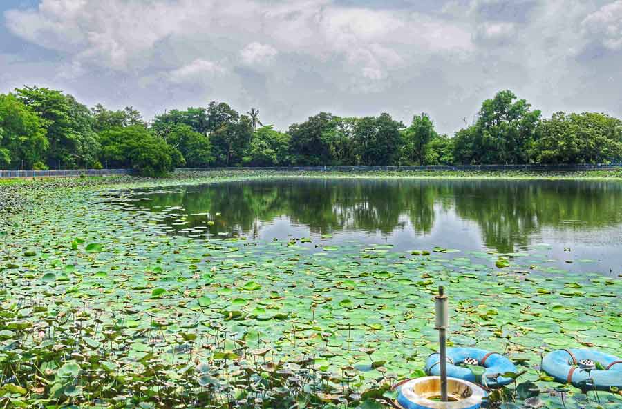 Water level at the Rabindra Sarobar appears to be replenished after the rainfall brought by cyclone Remal. The water levels went down in the peak of summer between April-May  