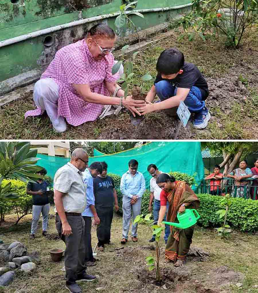 Tree plantation programme was held at Alipore Zoological Garden on World Environment Day like every year on Wednesday afternoon  