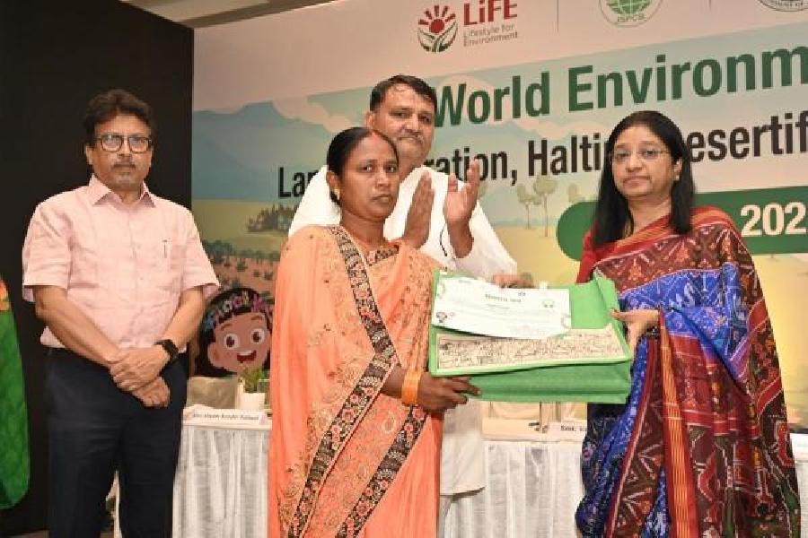 World Environment Day | Jharkhand witnesses rapid desertification with ...