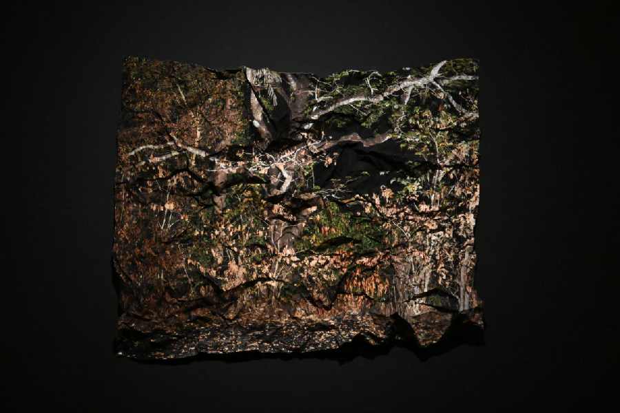 Tenzing Dakpa's artwork