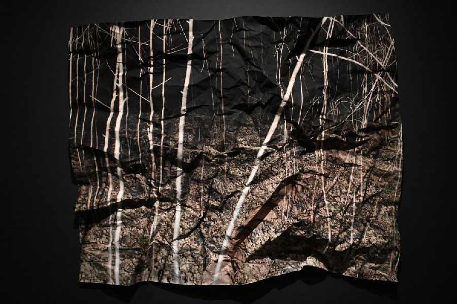 Tenzing Dakpa's artwork