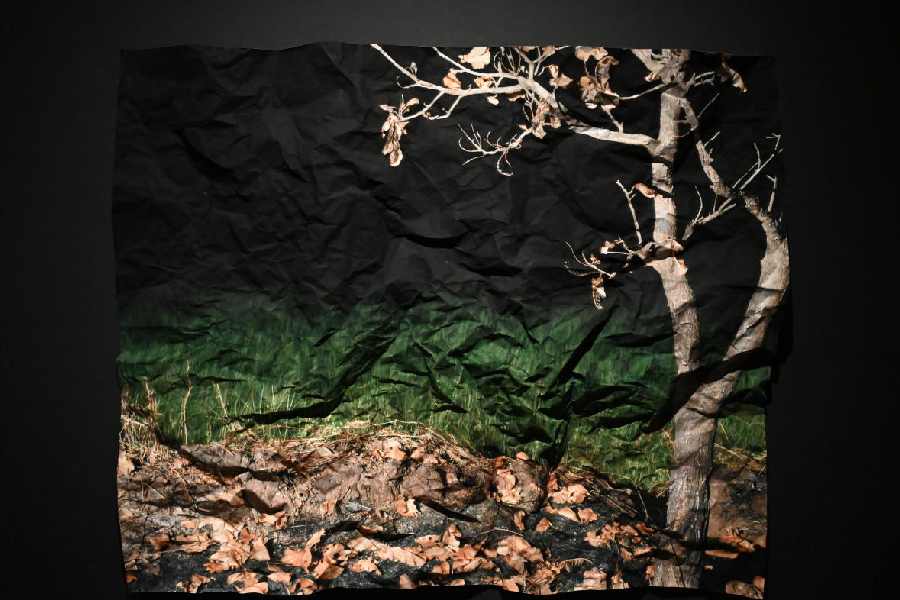 Tenzing Dakpa's artwork