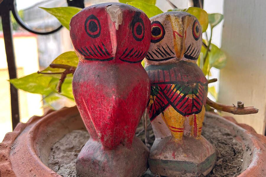 A couple of wooden owls perched on a money plant pot.