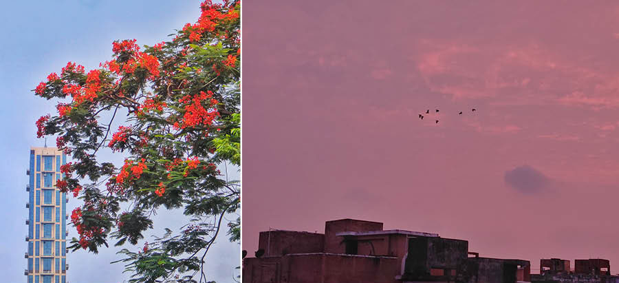 The sky on Wednesday in Kolkata was clear with no signs of rain. Towards the evening, post sunset, the sky turned a beautiful shade of pink   