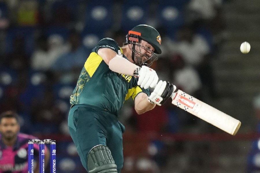 Australia vs Scotland T20 Series: Latest Highlights and Match Updates