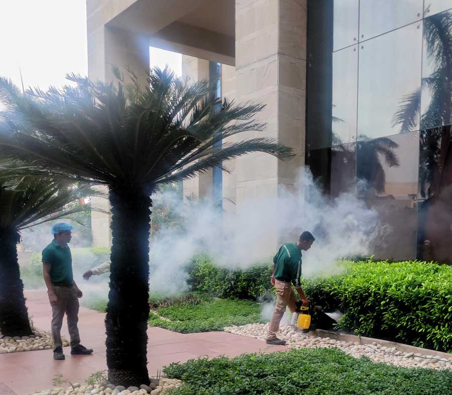 As the monsoon approaches, the risk of vector diseases also increases. Mosquito repellent smoke was sprayed in a luxury hotel in the city  