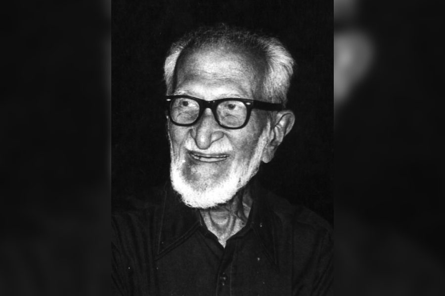 Salim Ali