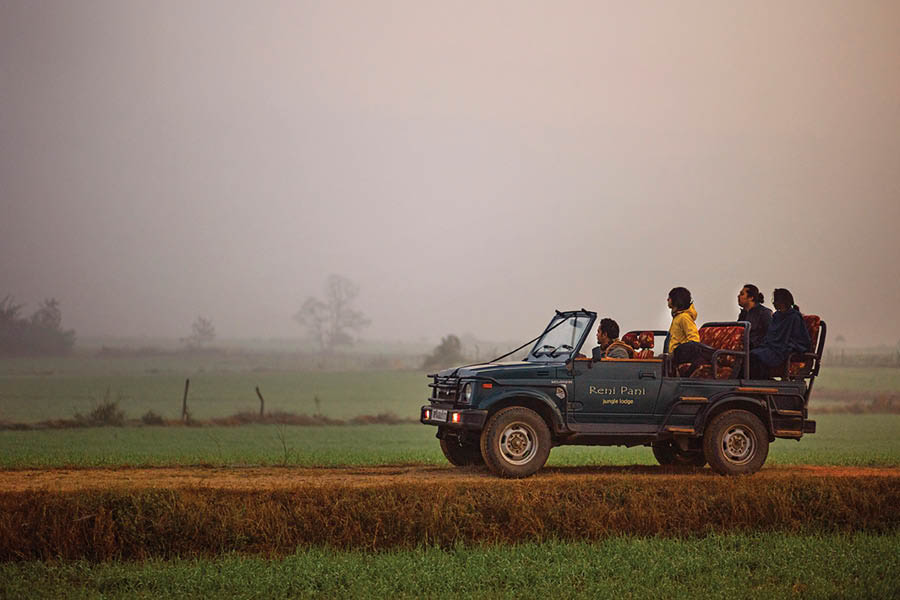 A safari through the farmlands of the territorial zone of Satpura National Park.