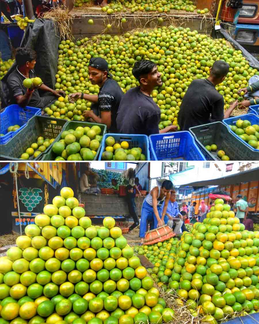Fresh sweet lime arrive at Mechua Bazar from Nagpur in north Kolkata on Monday   