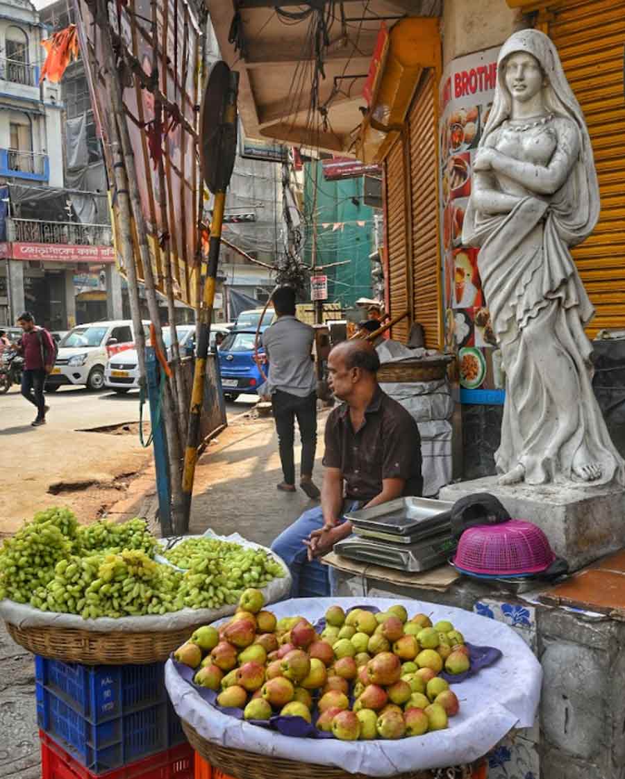 A statue meant to add to the beautification of a neighbourhood in central Kolkata is poorly maintained. Many such statues can be seen around the city which are either dilapidated or are dusty and beyond recognition  