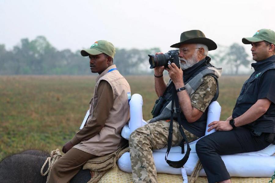 Narendra Modi |  Prime Minister Narendra Modi is organizing an elephant and jeep safari in Assam's Kaziranga National Park and Tiger Reserve.
