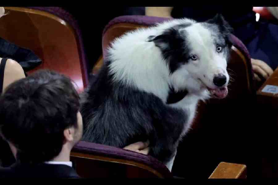 Messi is the newest Internet sensation and the star of the evening