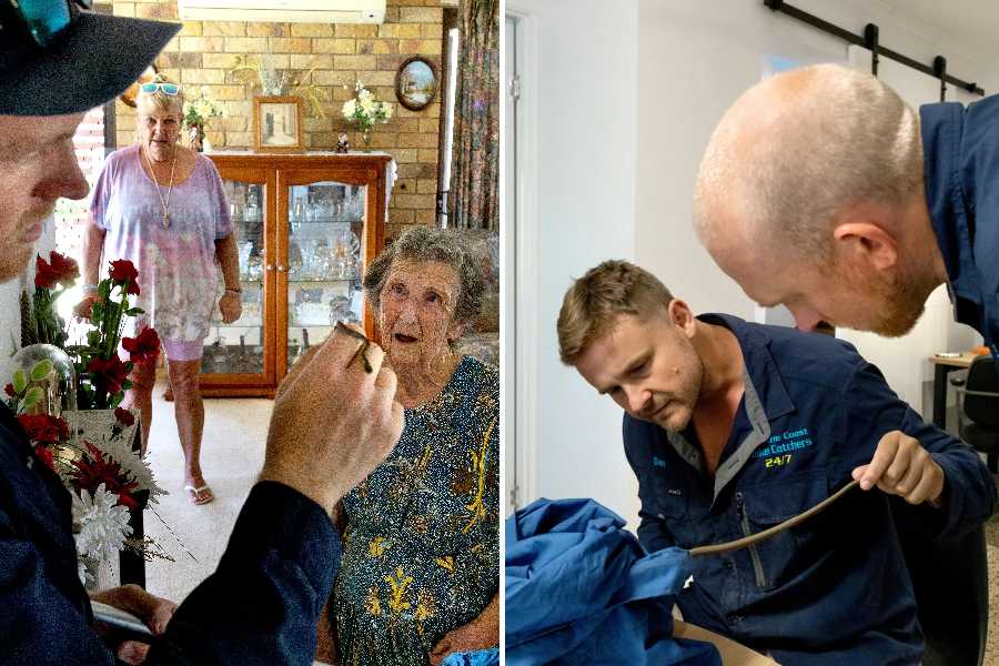 Mr. McKenzie holding a small harmless tree snake he caught at the home of Doris Hyde. She had panicked and hit the animal with a jet of fly spray (L)/ Mr. McKenzie, with Dan Rumsey of Sunshine Coast Snake Catchers, inspecting a tree snake that has been attacked by a house cat, to decide whether it is fit for release (R)