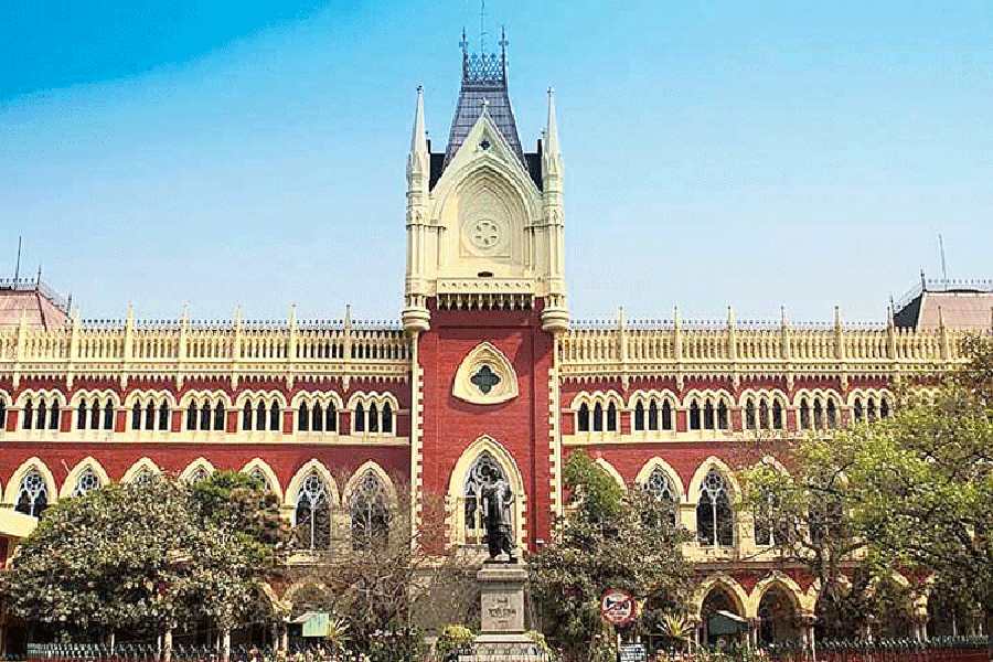  SSC scam: Calcutta High Court asks ED, CBI to file progress reports on primary school jobs case