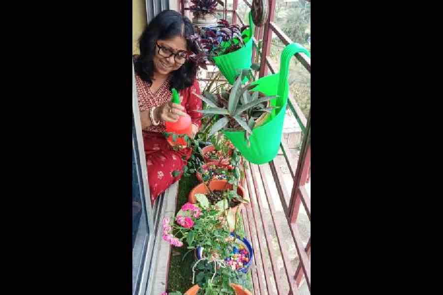 Archana Bala waters plants in her balcony