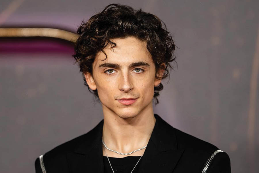 Warner Bros Warner Bros Signs Multi Year Deal With Timoth E   1711516132 Timothee Chalamet 