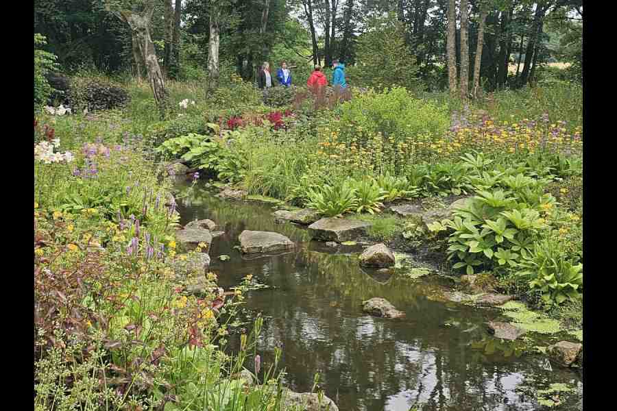 Chinese Streamside Gardens at RHS Bridgewater, outside Manchester