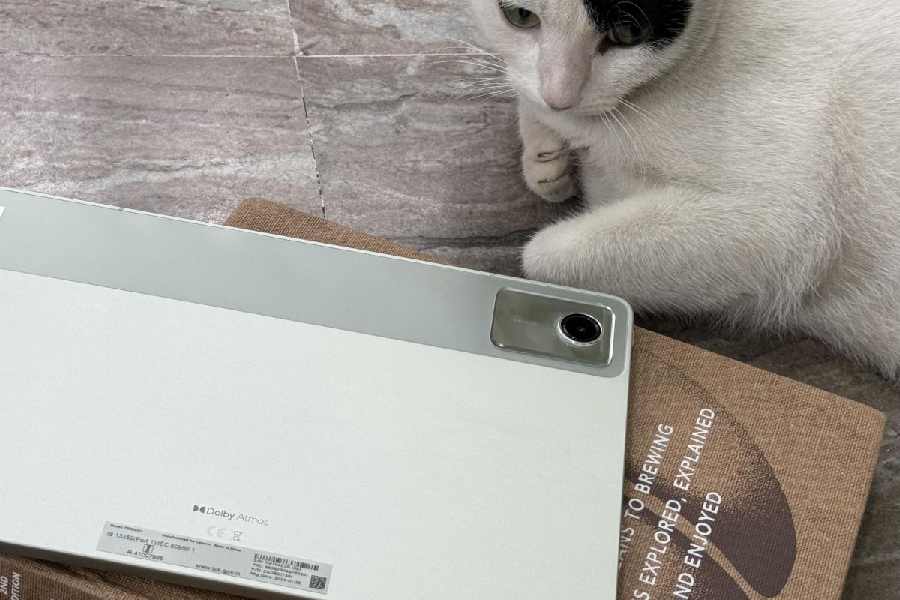 There is a 13MP camera on the back of the device