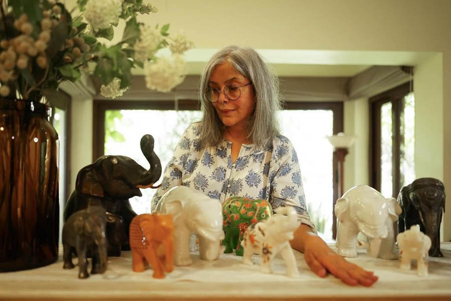 Zeenat Aman posing with her collection of elephant figurines