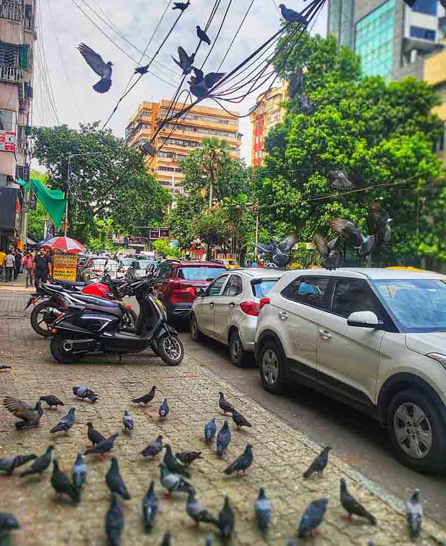 It was partly cloudy for the city on Thursday. The temperature has also shot up in the last few days. The maximum temperature recorded on Thursday was around 36.9˚C  