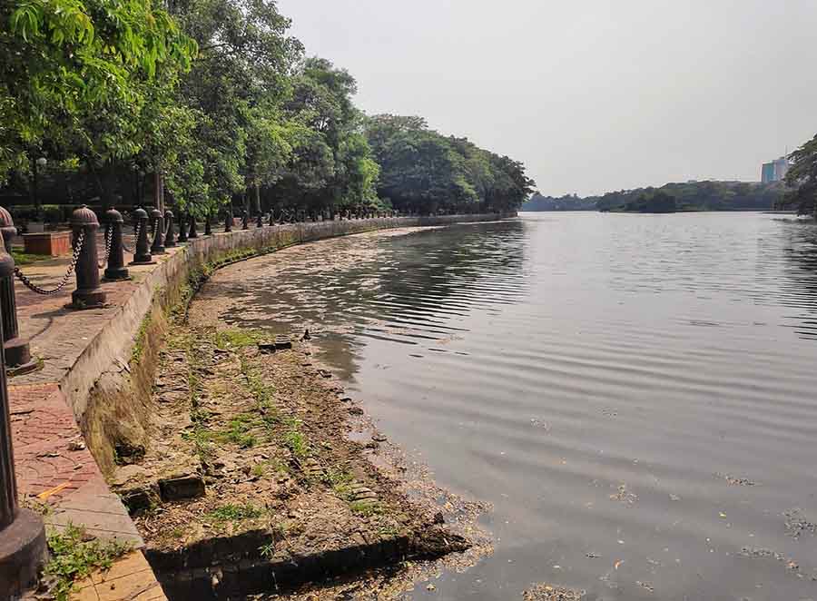 The water level of the Rabindra Sarobar has dipped once again. The week-long rainfall had replenished the water body but as the temperature rises, the water levels are falling. Picture taken on Friday afternoon   