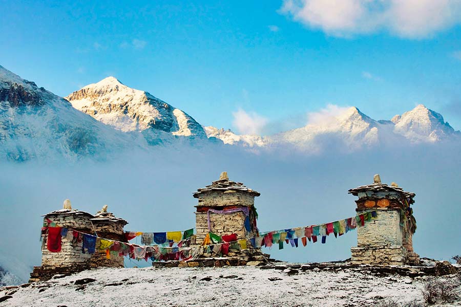 The mountains brought with them a serenity unlike anything Leela had experienced