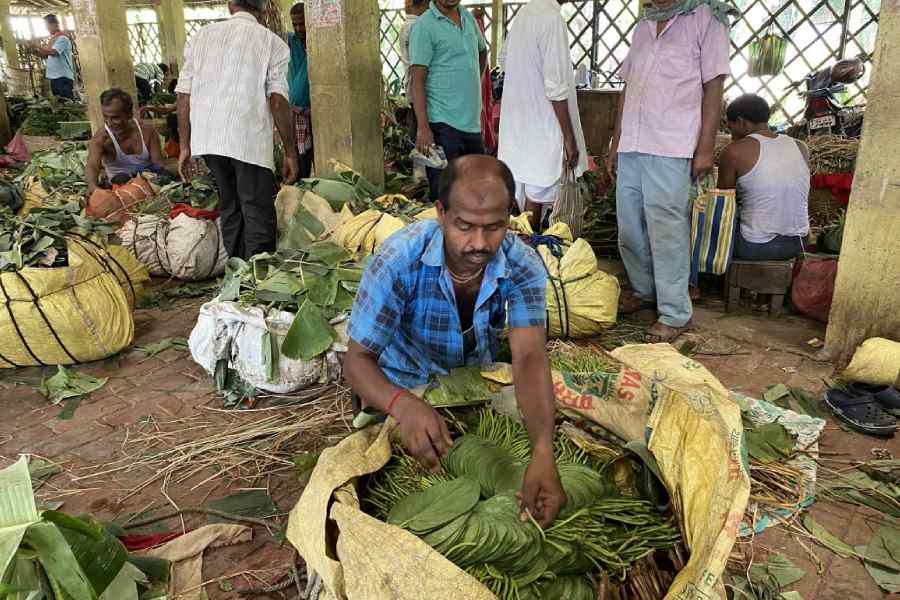 The paan market in Ramtarak in East Midnapore.
