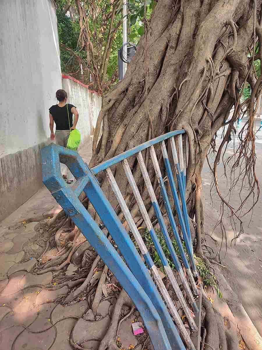 The iron railings along the sidewalk on Gurusaday Dutt Road in Ballygunge are in precarious condition 
