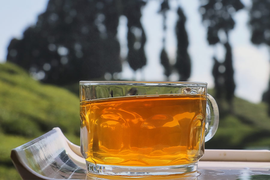 International Tea Day | Six top tips for buying Darjeeling Tea: a ...