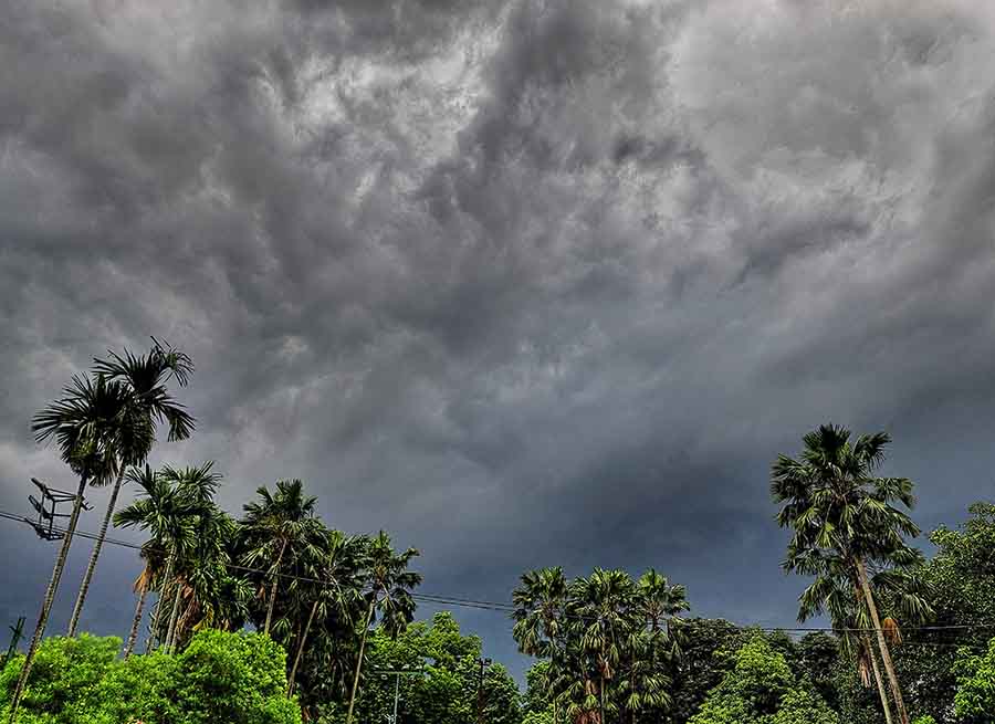 Nature at its best as the sunny morning gave way to a rainy storm in Kolkata early afternoon