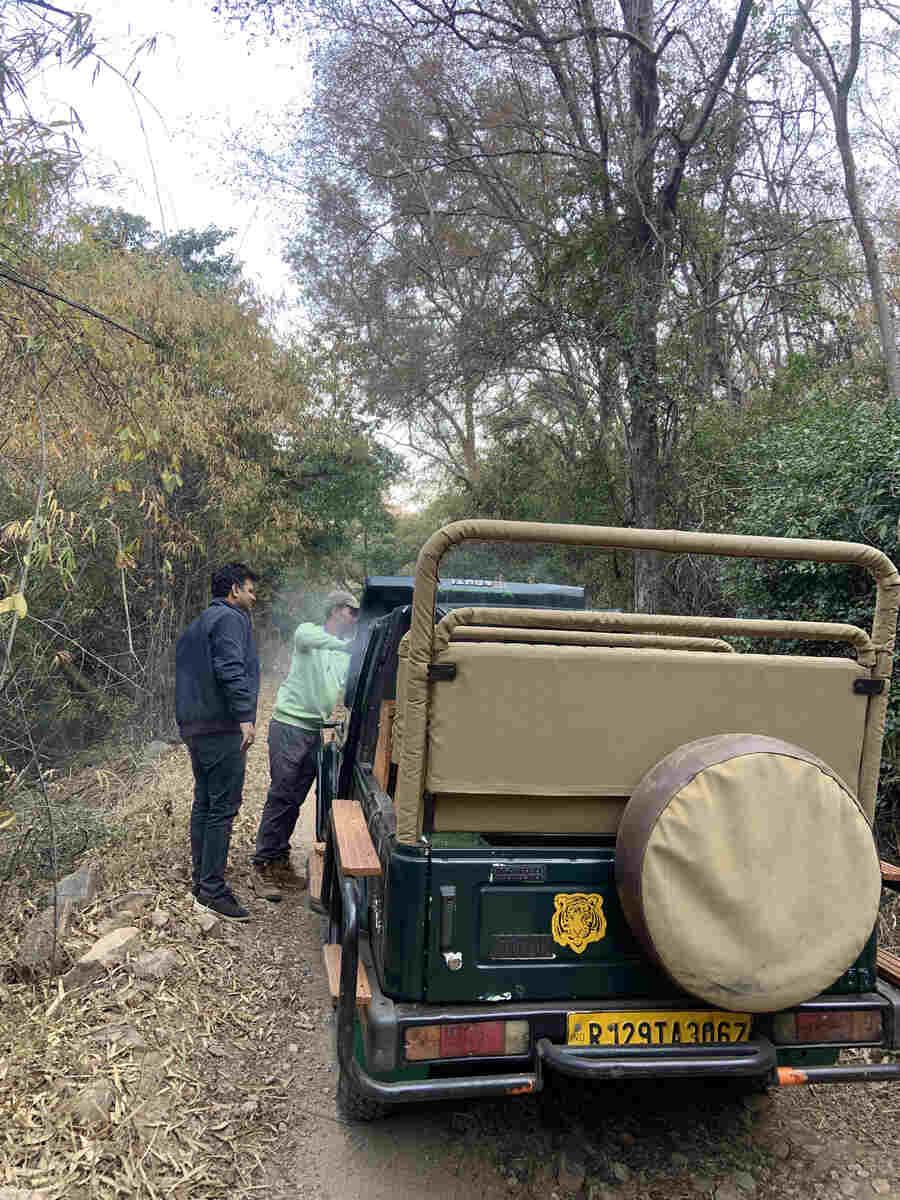 Our car broke down on the way and even though we are not supposed to get off the vehicle in the forest, we were forced to because the engine was smoking profusely. Thankfully, the driver could sort out the problem quickly and we were on our way in 10 minutes
