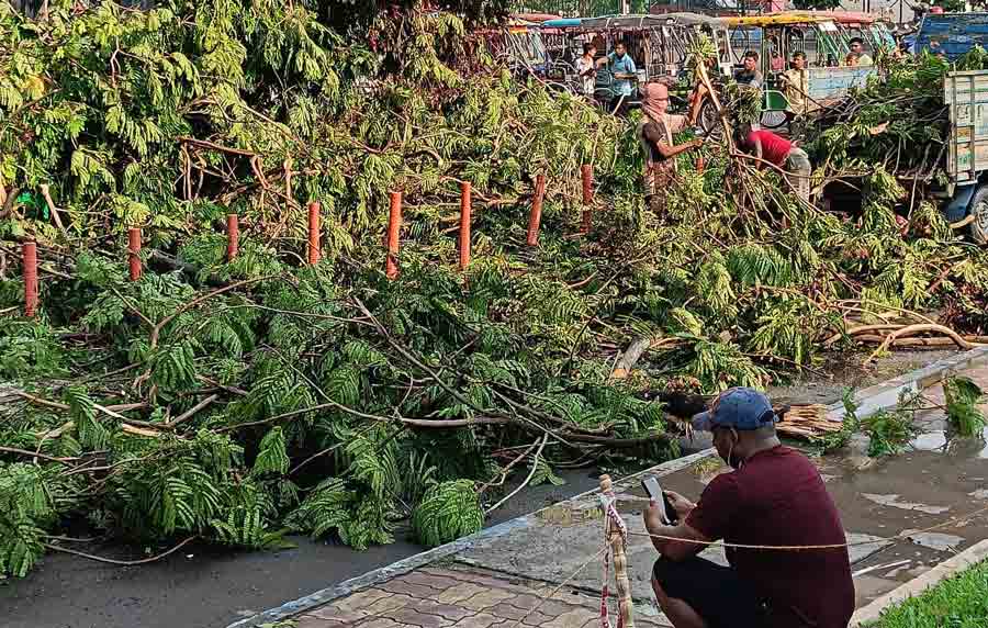A tree fell on Biswa Bangla Sarani near City Centre II on Wednesday afternoon after a thunderstorm. The NKDA workers cleared the area to avoid traffic disruption  