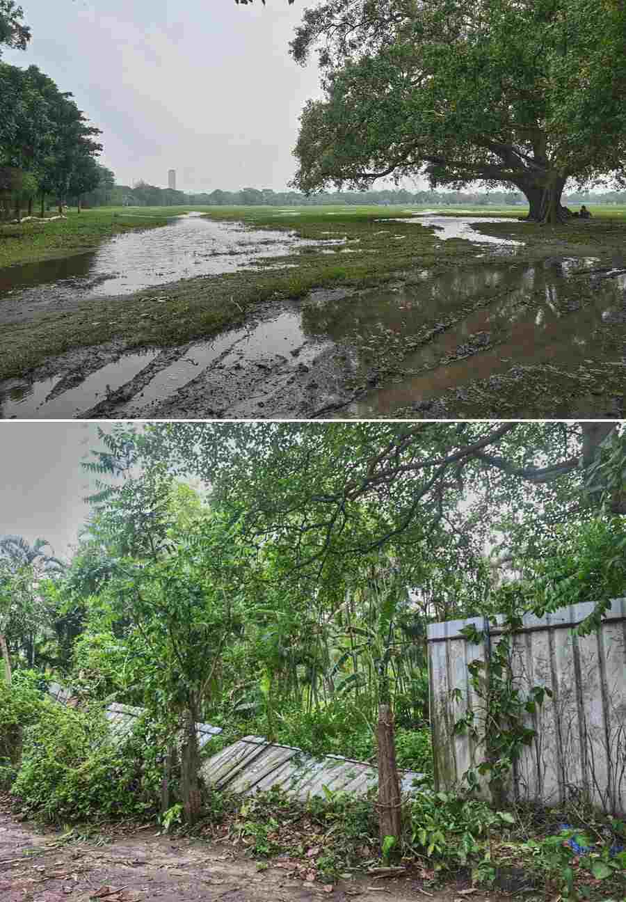 The Maidan was dotted with fallen trees and broken branches on Tuesday after Kolkata was lashed by intermittent rain and gusty winds on Sunday and Monday 